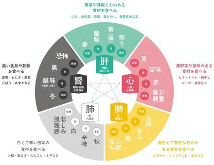 胃 五行|六腑